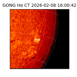 gong - 2026-02-08T16:00:42