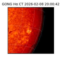 gong - 2026-02-08T20:00:42