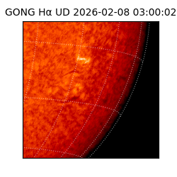gong - 2026-02-08T03:00:02