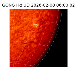gong - 2026-02-08T06:00:02