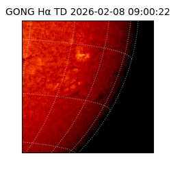 gong - 2026-02-08T09:00:22