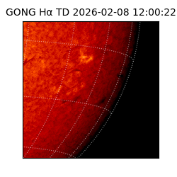 gong - 2026-02-08T12:00:22