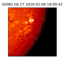 gong - 2026-02-08T18:00:42