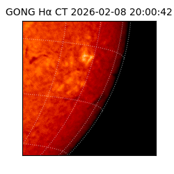 gong - 2026-02-08T20:00:42