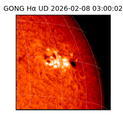 gong - 2026-02-08T03:00:02