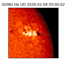 gong - 2026-02-08T05:00:02