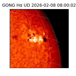 gong - 2026-02-08T08:00:02