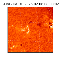 gong - 2026-02-08T08:00:02