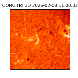 gong - 2026-02-08T11:00:02