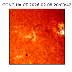 gong - 2026-02-08T20:00:42