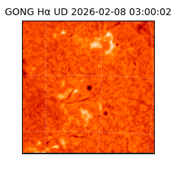 gong - 2026-02-08T03:00:02