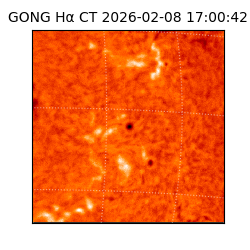 gong - 2026-02-08T17:00:42