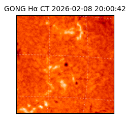 gong - 2026-02-08T20:00:42