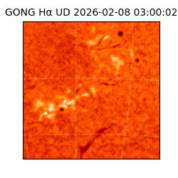 gong - 2026-02-08T03:00:02