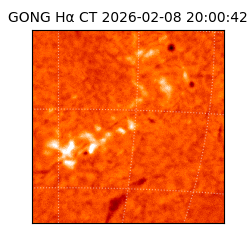 gong - 2026-02-08T20:00:42