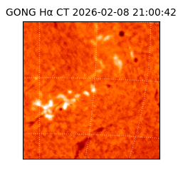 gong - 2026-02-08T21:00:42