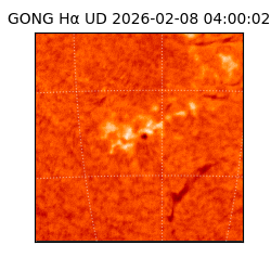 gong - 2026-02-08T04:00:02