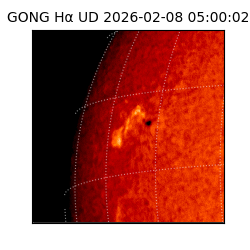 gong - 2026-02-08T05:00:02