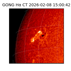 gong - 2026-02-08T15:00:42