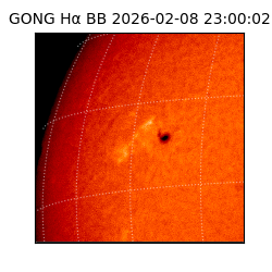 gong - 2026-02-08T23:00:02