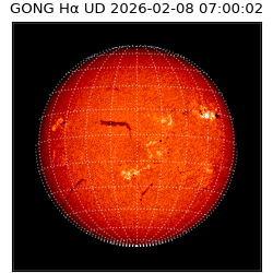 gong - 2026-02-08T07:00:02