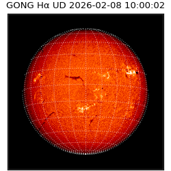 gong - 2026-02-08T10:00:02