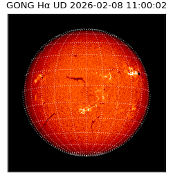gong - 2026-02-08T11:00:02