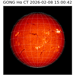 gong - 2026-02-08T15:00:42
