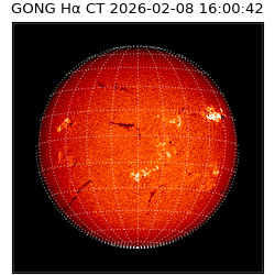 gong - 2026-02-08T16:00:42