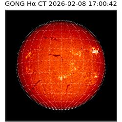gong - 2026-02-08T17:00:42