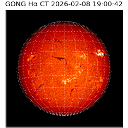 gong - 2026-02-08T19:00:42