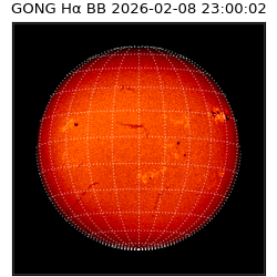 gong - 2026-02-08T23:00:02