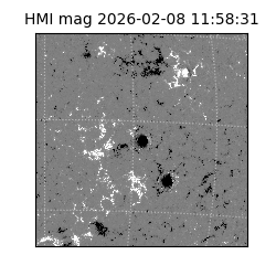 shmi - 2026-02-08T11:58:31.300000