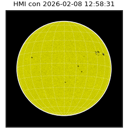 shmi - 2026-02-08T12:58:31.300000