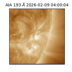 saia - 2026-02-09T04:00:04.843000
