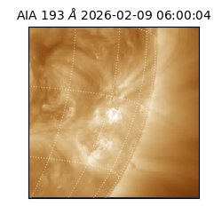 saia - 2026-02-09T06:00:04.843000