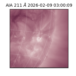 saia - 2026-02-09T03:00:09.626000