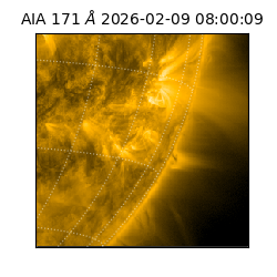 saia - 2026-02-09T08:00:09.349000