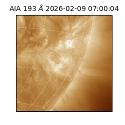 saia - 2026-02-09T07:00:04.843000