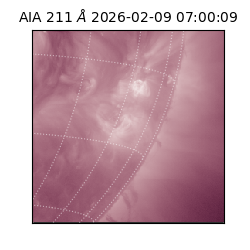 saia - 2026-02-09T07:00:09.626000