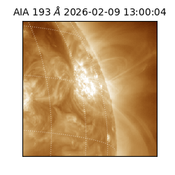 saia - 2026-02-09T13:00:04.843000