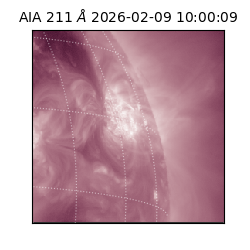 saia - 2026-02-09T10:00:09.630000