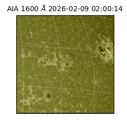 saia - 2026-02-09T02:00:14.126000