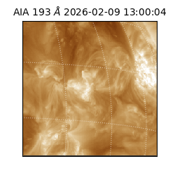 saia - 2026-02-09T13:00:04.843000