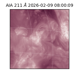 saia - 2026-02-09T08:00:09.626000