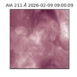 saia - 2026-02-09T09:00:09.626000