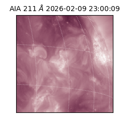 saia - 2026-02-09T23:00:09.626000