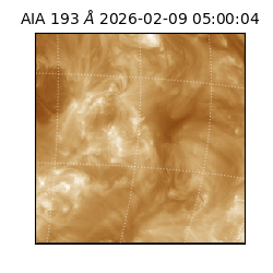 saia - 2026-02-09T05:00:04.843000