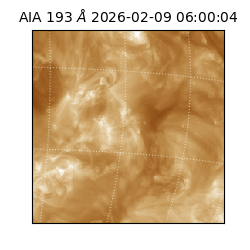 saia - 2026-02-09T06:00:04.843000