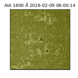 saia - 2026-02-09T06:00:14.126000